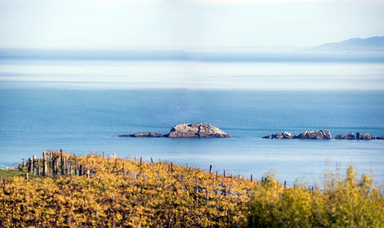 Aterian Pilartxo Enea Daire Zarautz Dış mekan fotoğraf